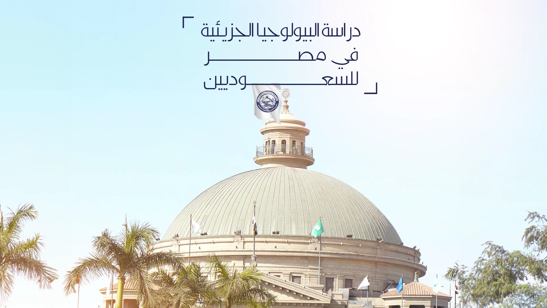 دراسة البيولوجيا الجزيئية