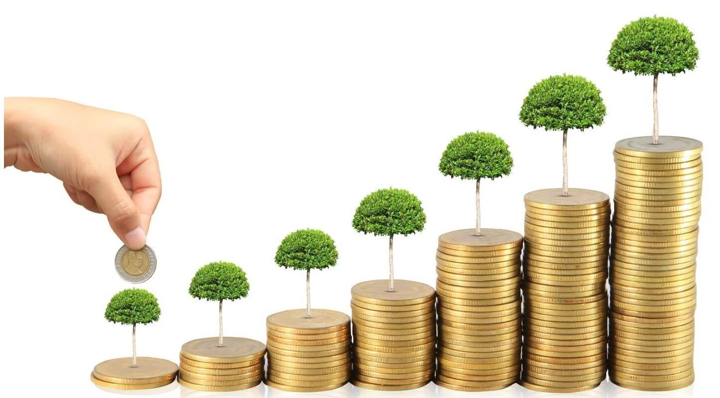 دراسة ماجستير التمويل والاستثمار في مصر