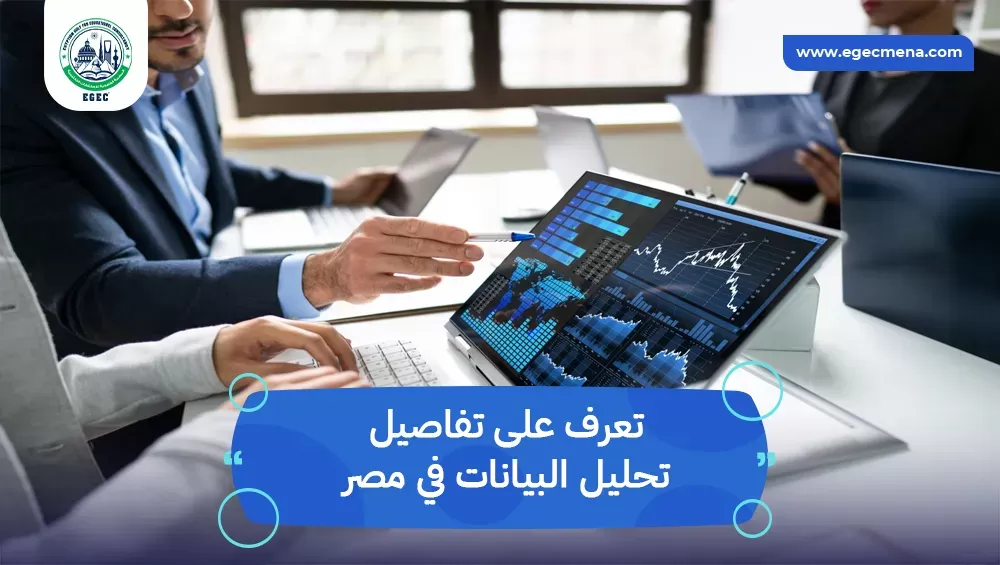 تحليل البيانات في مصر