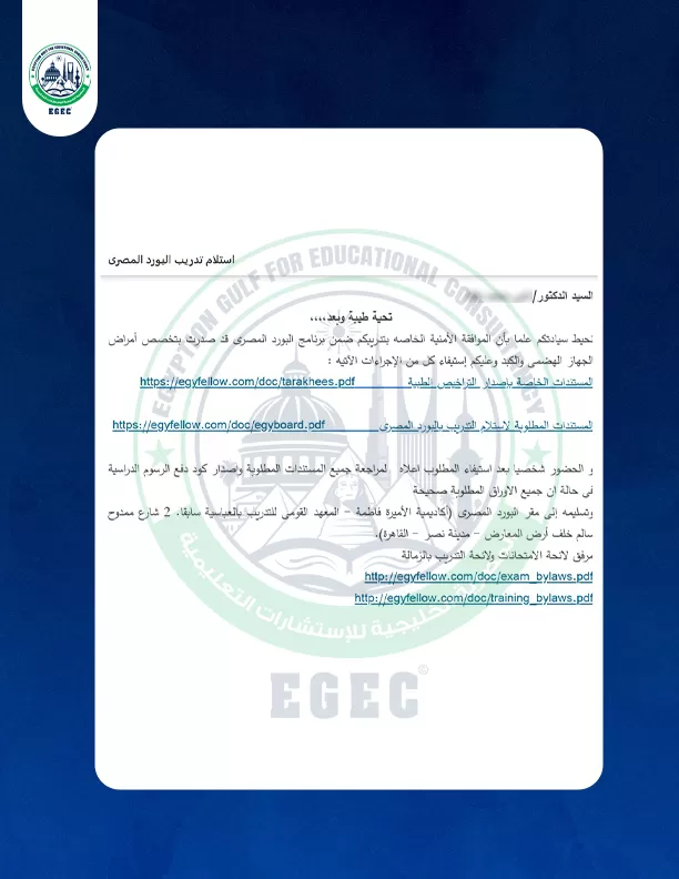 دراسة إدارة الأعمال في مصر